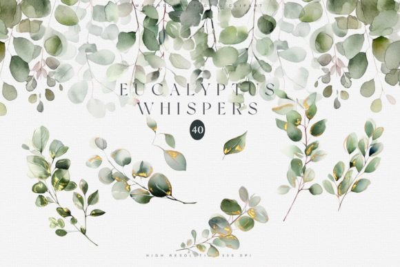 Download Watercolor Eucalyptus Clipart Set - Watercolor Collection